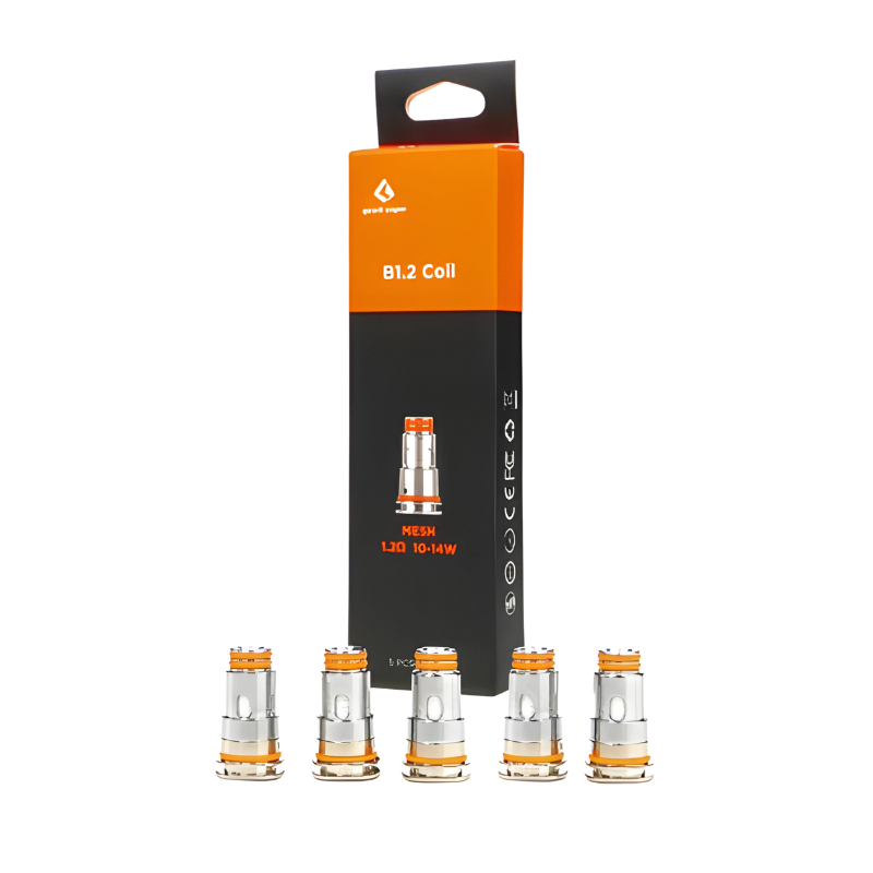 Résistances B Series (x5) Geek Vape